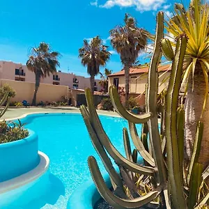 https://surf-and-chill-bungalow.in-canary-islands.com